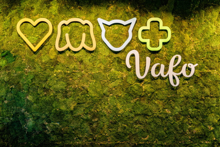 Exkurze do výroby VAFO
